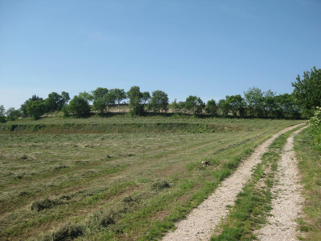 Agriturismo Campagnoletto Cavriana Habitación foto
